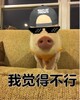 �Ҿ��ò��б����