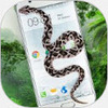��ʾ��app
