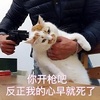 è���㿪ǹ�ɣ������ҵ���������˱���������