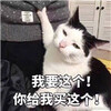 ��Ҫ��������������������