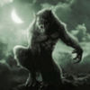 ����֮��1.1��ʽ��