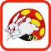 ����ƴ��app