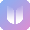 ����д��app