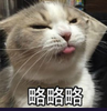 è������ͼƬ����