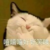 �ճ���è�������ˮӡ