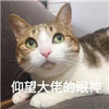 �ȳ�ɰ�����ͼƬ����