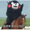 ���������ҿ��Է���һ�������