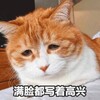 һֻϷ����è�����