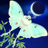 Starlight(����֮��ҹ��Ϸ)