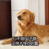 �ɰ���ë�����