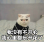 ����èͼƬ����