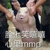 ���ı������ȫ
