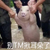 �����达����������С�������