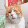 ���޿����ɰ�è��������ˮӡ