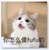 ����ô��fufu�ı������ˮӡ
