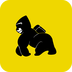 ����ʿ����app