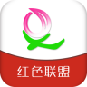 ��������app