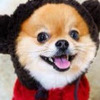 �ɰ��ȳ����¶������ͷ���ȫ