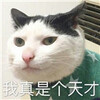 8�¾�ѡ���ű������ˮӡ