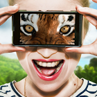 Ӿģ⹤(Vision animal simulator)v1.2 ׿