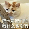 ���������ǵ���ʲôҲû�б����