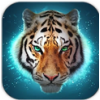 TheTiger(�ϻ�ģ����OL)