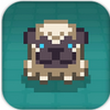 Pug(�˸�Ȯð��)