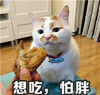 ������ֱ������ˮӡ��