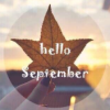 2017�����ټ������������Ψ����ֽ