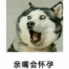 ����ỳ�б������ˮӡ