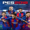 ʵ������2018��������ƿ��������