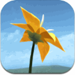 Flowerv1.0 ٷios