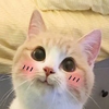 С�ɰ������������