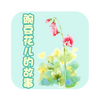 �㶹�����Ĺ�������