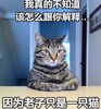 �Ҳ�֪������ô������ͱ����