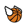 Flappy Dunk����