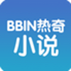 BBIN����С˵
