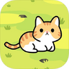 Taming a stray cat(ѱ������è)