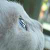 �ǳ����������°�