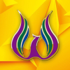 ��չ������app