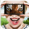 vision animal