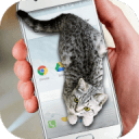 ɰè̬Ļ(Cat Walks in Phone Cute joke)Ѱ