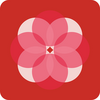 ��������˾app