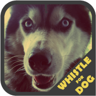 ڽ(Dog Whistle Trainer )v2.0 ׿