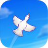 ���֮��Skyward Journey