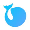 daydao