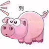 ����ʺͼƬ�������ȫ(���ڸ����ʺ)
