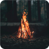 �����Ҵ���X��