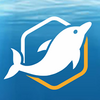 DolphinPHP(���ٿ������)
