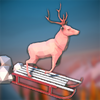 Animal Adventure: Downhill Rush(����ð��:���³��)